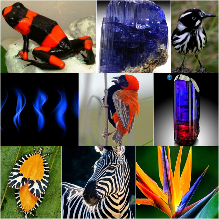 energetic_ethereal_nature_inspiration
