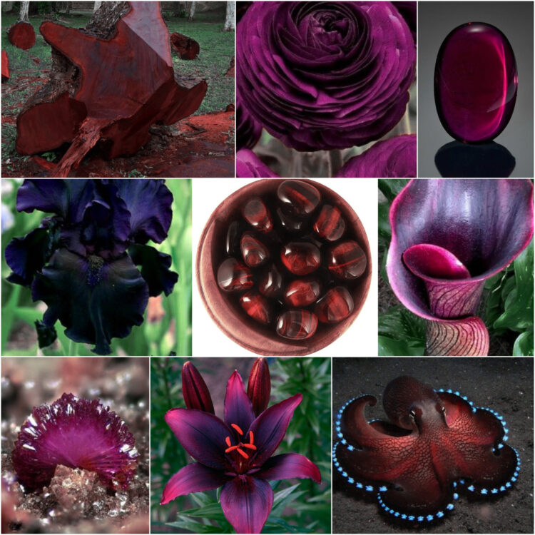 mahogany_ethereal_nature_inspiration