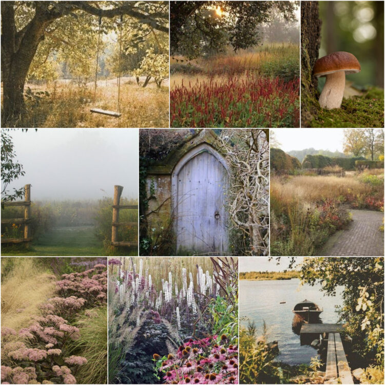 retro_fairytale_ethereal_nature_inspiration