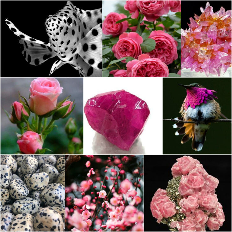 rose_ethereal_nature_inspiration