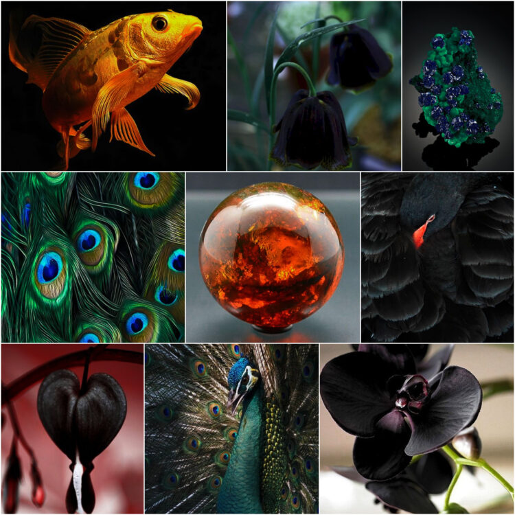 royal_queen_ethereal_nature_inspiration