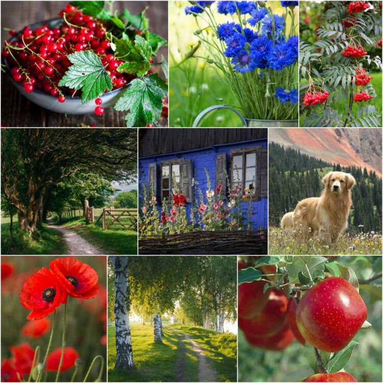 slavic_ethereal_nature_inspiration