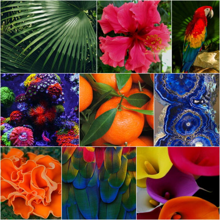 spanish_energetic_ethereal_nature_inspiration