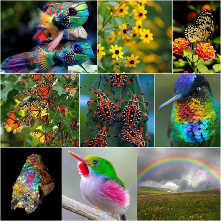 sparkly_ethereal_nature_inspiration