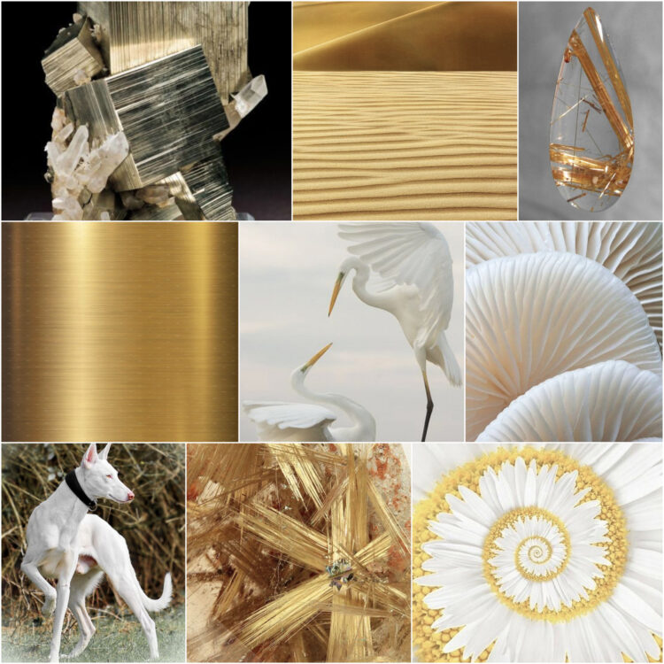 sun_ethereal_nature_inspiration