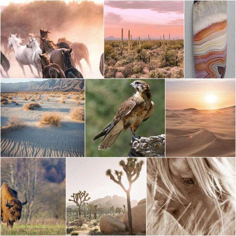 wild_ethereal_nature_inspiration